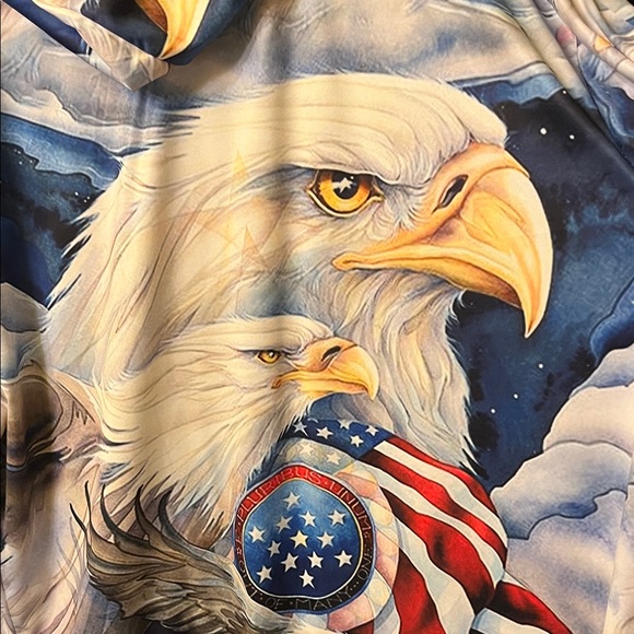 Two Eagle and Flag Graphic Hoodies Bundle - Picture 11 of 12